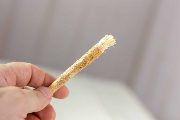Why Your Toothbrush Is Failing You — And How Miswak Is Changing Oral Care Forever