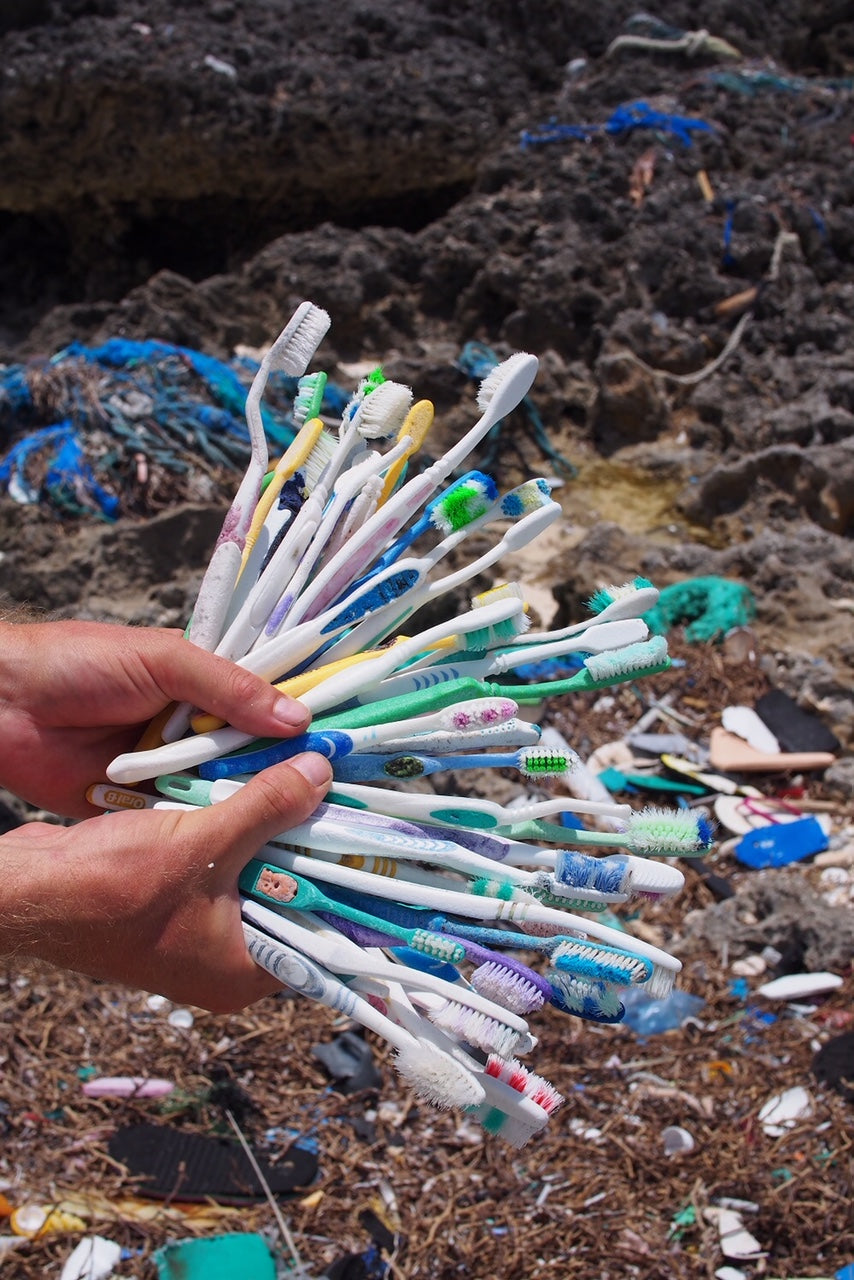 How RemoBrush Is Reducing Plastic Waste One Toothbrush at a Time