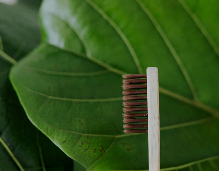 Comment les poils infusés au Miswak transforment les soins bucco-dentaires quotidiens