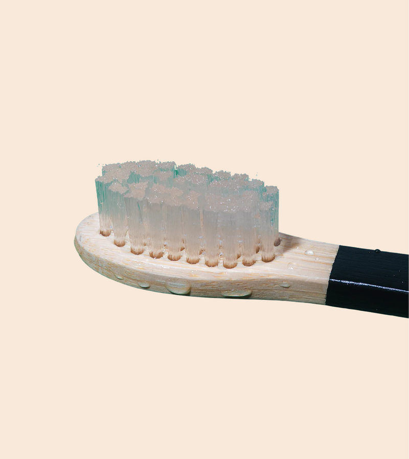Wet the bristles