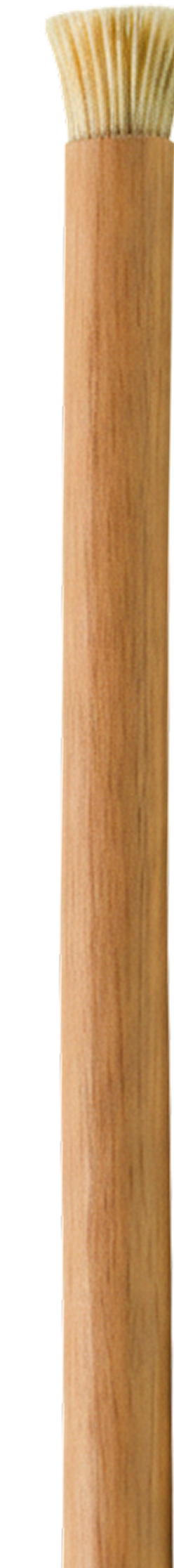 RemoBrush