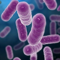 Fights Cavity-Causing Bacteria