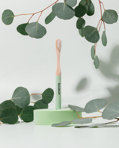 RemoMini (Kids) – Miswak Bristles Bamboo Toothbrush
