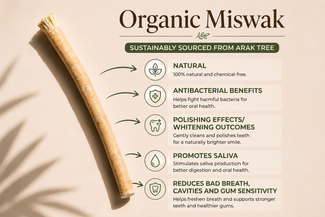 Bâtonnet de Miswak biologique : issu de sources durables de l'arbre Arak