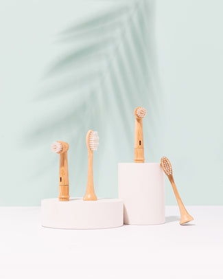 Têtes de brosse à dents électriques en bambou à brins de Miswak (paquet de 2)