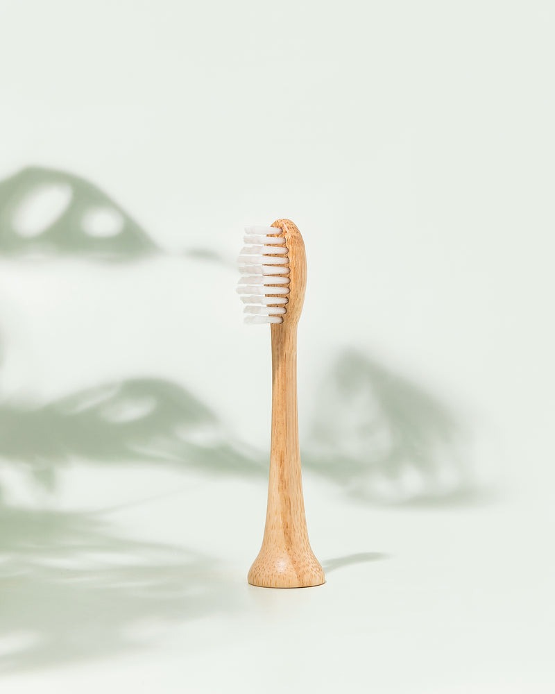 Têtes de brosse à dents électriques en bambou à brins de Miswak (paquet de 2)