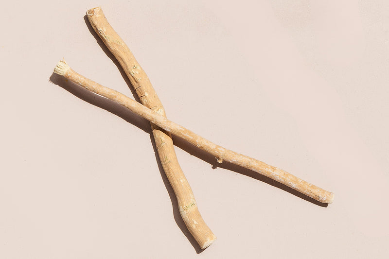 Bâtonnet de Miswak biologique : issu de sources durables de l'arbre Arak