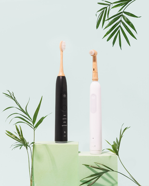 Miswak Bristles Electric Bamboo Toothbrush Heads (2-Pack)