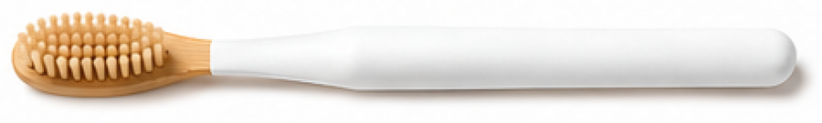 Toothbrush base