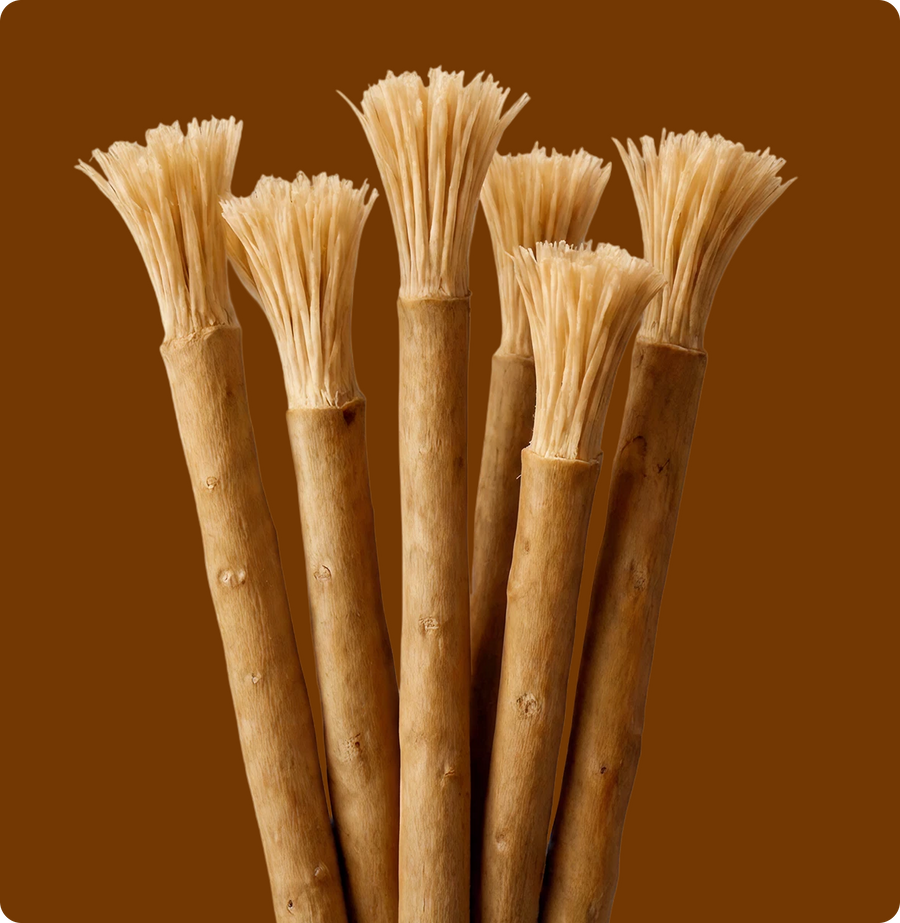Traditional Miswak Challenges